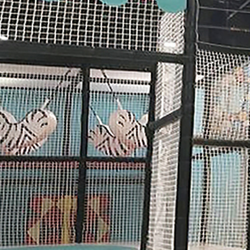 Netting-1